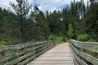 Black Hills Mickelson Trail Bicycling Tour thumbnail 5