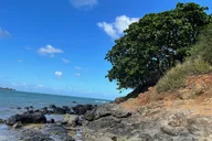 Mokoli'i Island Paddle Boarding and Hiking Adventure thumbnail 2