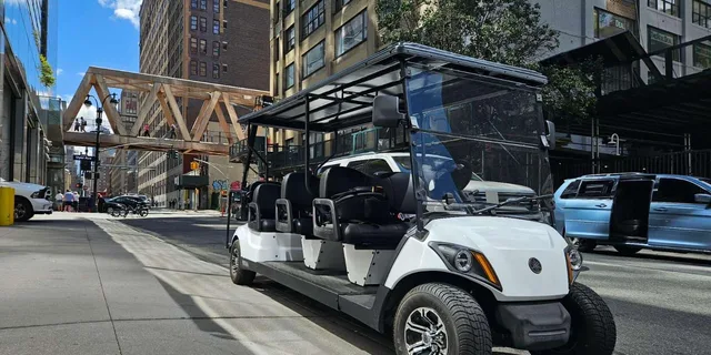 New York City Landmarks & History Cart Tour - Image 6