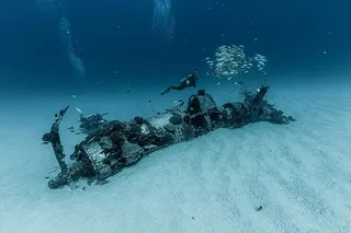 Honolulu Scuba Diving Experience