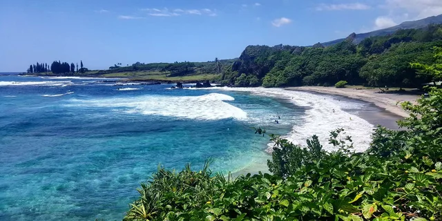 Maui Road to Hana Tour with Pickup and Lunch - Image 3