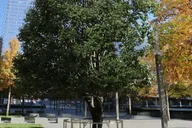 New York 9/11 Memorial Museum Admission thumbnail 3
