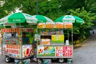 New York Central Park Walking Tour thumbnail 6