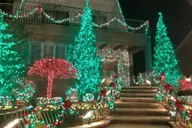 Brooklyn Christmas Lights Tour Dyker Heights 4 hr thumbnail 3