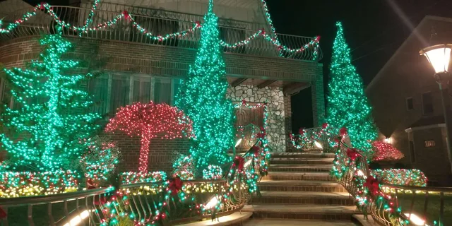Brooklyn Christmas Lights Tour Dyker Heights 4 hr - Image 3