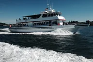 Friday Harbor Whale Watching Tour thumbnail 3