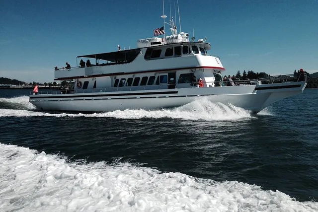 Friday Harbor Whale Watching Tour - Image 3