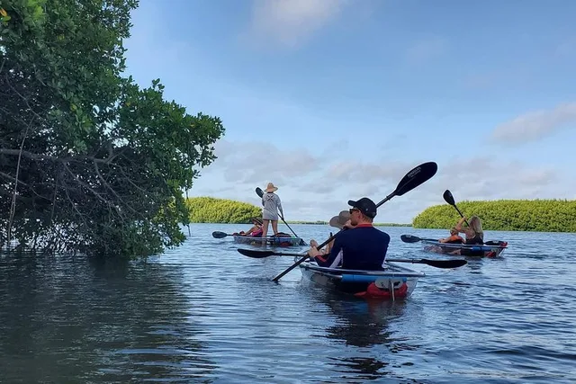 Tampa Bay Clear Kayak Tour of Shell Key Preserve - Image 3
