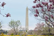 Washington DC Walking Tour of LGBTQ History thumbnail 5