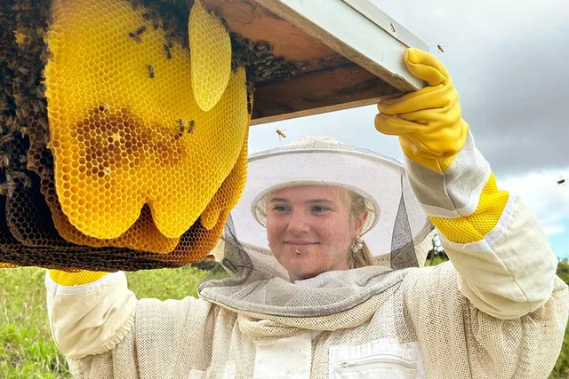 Maui Honey Bee Sanctuary Adventure - Image 2