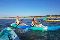 Virginia Beach Dolphin Kayak Tour at Sunset thumbnail 5