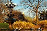 New York Central Park Horse-Drawn Carriage Ride at Night thumbnail 5