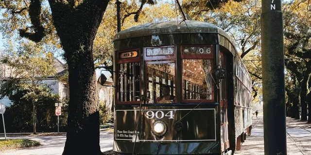 New Orleans Beyond the French Quarter Tour - Image 5