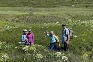 San Juan Islands Wildlife and Coast Tour thumbnail 1