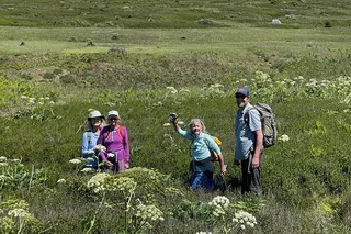 San Juan Islands Wildlife and Coast Tour