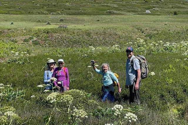 San Juan Islands Wildlife and Coast Tour - Image 1