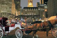 New York Central Park Horse-Drawn Carriage Ride at Night thumbnail 1