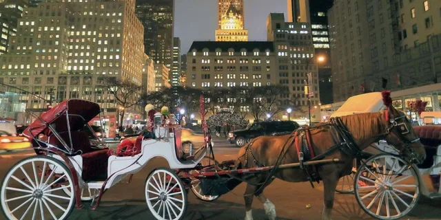 New York Central Park Horse-Drawn Carriage Ride at Night - Image 1