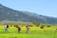 Yellowstone Lamar Valley Hiking Tour thumbnail 6