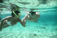 Waikiki Turtle Snorkel Tour thumbnail 3