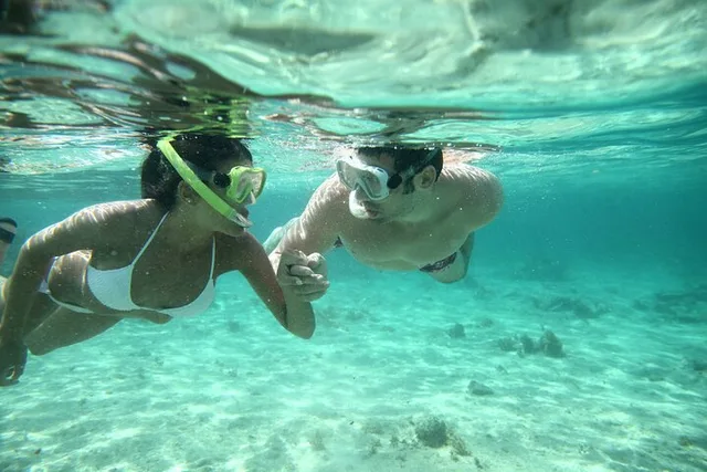 Waikiki Turtle Snorkel Tour - Image 3