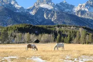 Bozeman Yellowstone and Grand Teton National Park Tour thumbnail 1