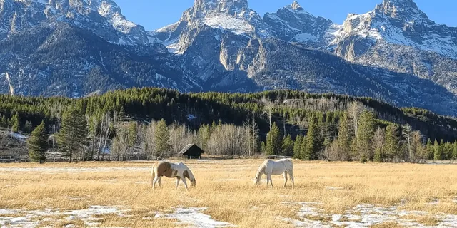 Bozeman Yellowstone and Grand Teton National Park Tour - Image 1