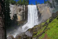 San Francisco Yosemite National Park Private Tour thumbnail 4