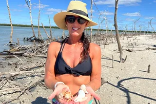 Marco Island Shelling Adventure 10,000 Islands 4 hr