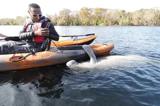 Orlando Manatee Discovery Kayak Tour