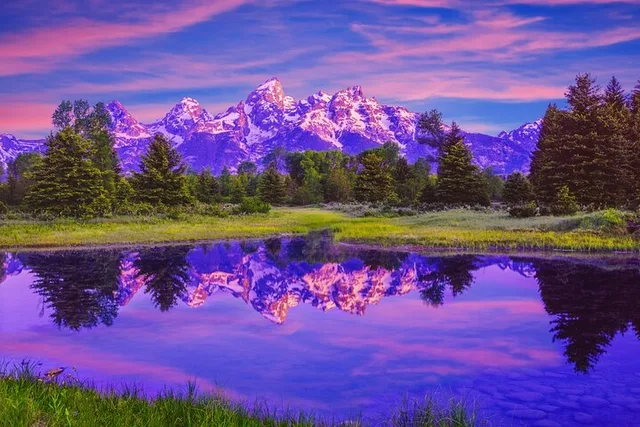 Jackson Grand Teton National Park Tour - Image 2