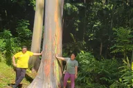 Maui Road to Hana Tour with Guide thumbnail 6