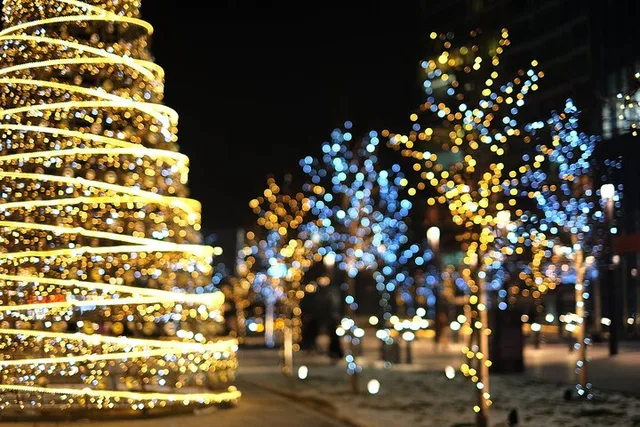 Minneapolis Christmas Walking Tour - Image 5