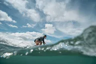 Honolulu Kayak, Snorkel, and Surf with Turtles thumbnail 6