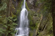 Port Angeles Olympic National Park Half-Day Tour thumbnail 4