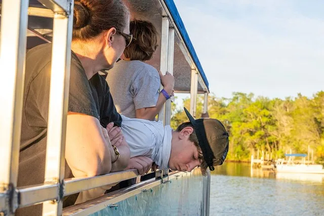 Crystal River Eco Cruise - Image 2