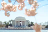 Washington DC Monuments Tour with Washington Monument Entry thumbnail 2