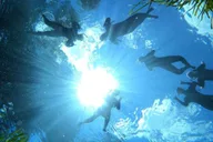 Crystal River Manatee Snorkel Tour 4 hr thumbnail 4