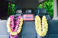 Oahu Private Customized Tour thumbnail 5