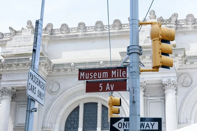 New York City Metropolitan Museum and Central Park Tour - Image 3