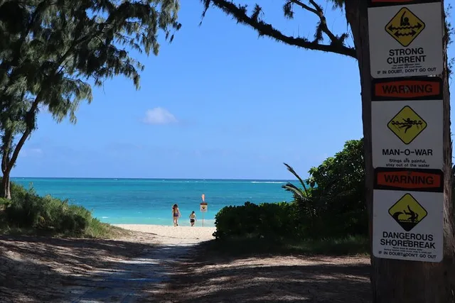 Oahu Adventure Private Tour - Image 6