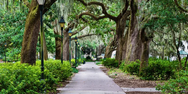 Savannah Black History Walking Tour - Image 2