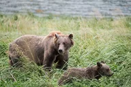 Haines Photography Tour from Skagway thumbnail 6