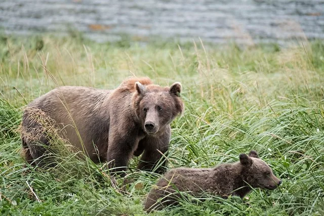 Haines Photography Tour from Skagway - Image 6
