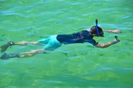 Destin Snorkeling and Shelling Excursion thumbnail 4