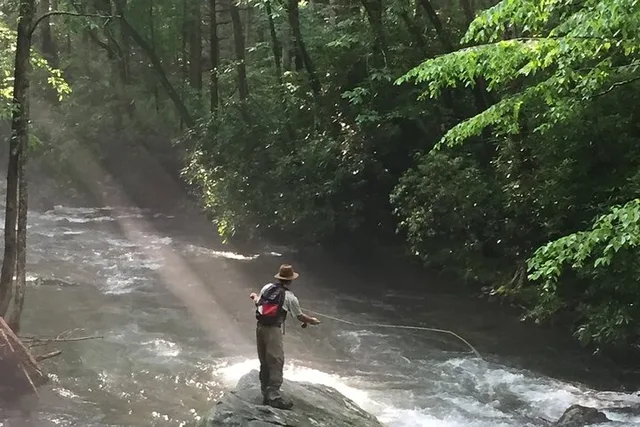 Smoky Mountains Fly Fishing Half Day - Image 2