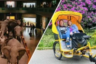 New York Central Park Pedicab Tour with Museum Access thumbnail 1