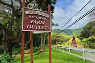 Oahu Island North Shore Small Group Tour thumbnail 5