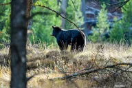 Salt Lake City National Parks and Monuments Tour 7 Days thumbnail 5
