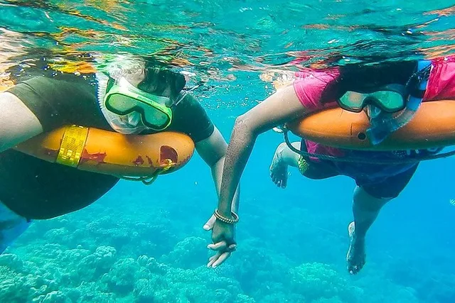 Key West Snorkeling Experience with Drinks 3 hr - Image 6